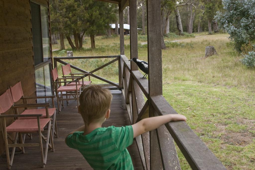 Che Sara Sara Chalets Walpole Cameră foto
