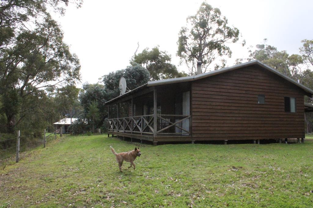 Che Sara Sara Chalets Walpole Cameră foto